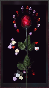 Class A HM: A Hearty Rose by Mary Anne Sirkin