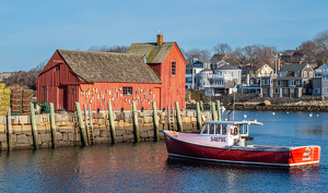 A quiet day in the harbor - Photo by Amy Keith