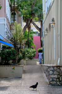 Christiansted Alley, St Croix USVI - Photo by Peter Rossato