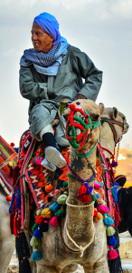 Egyptian Camel Driver - Photo by Louis Arthur Norton