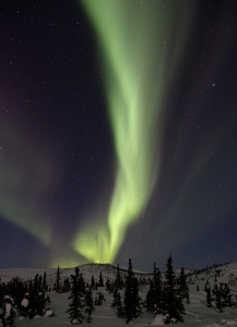 Erupting Aurora - Photo by Barbara Steele