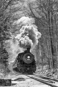 Essex Steam Train - Photo by Nancy Schumann