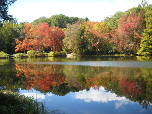 Fall Reflections - Photo by James Haney