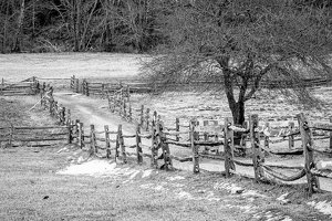 Fields in Winter - Photo by Bill Payne