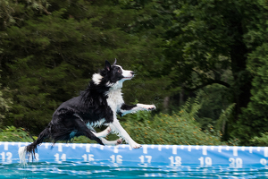 I hope I can swim! - Photo by Nancy Schumann