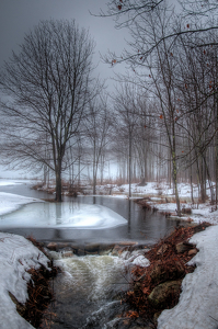 Class A 1st: icy day by John Parisi