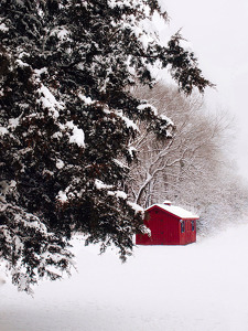 Little Red Shed in the Snow - Photo by Kristin Long