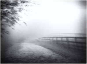 more fog double exposure - Photo by John Parisi