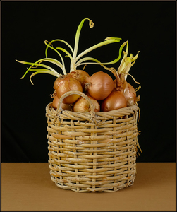 Onion Basket - Photo by Bruce Metzger
