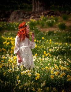 Portent of Spring? - Photo by Arthur McMannus
