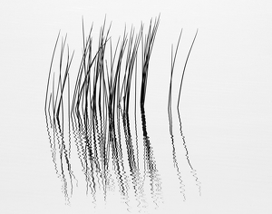 Class B 1st: Reeds on a pond by Ron Thomas