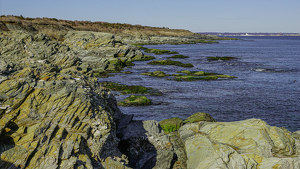 Rocky Coastline of Rhode Island - Photo by Jim Patrina