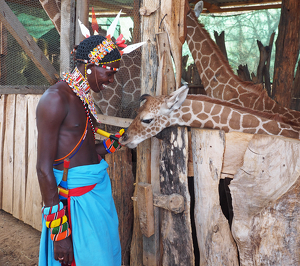 Samburu Warrior and 2 week-old giraffe - Photo by Ken Case