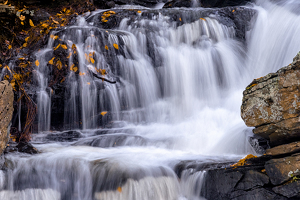Tartia-Engel Falls in the Fall - Photo by Bill Payne