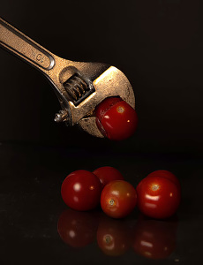 Class B 1st: Tomato Under Pressure by David Robbins