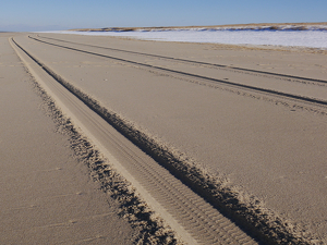Tracks On The Beach - Photo by Bill Latournes