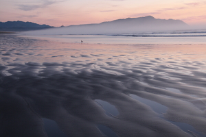 Twilight Mist - Photo by Barbara Steele
