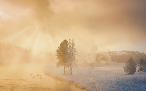 Salon 1st: Winter Landscape Yellowstone by Danielle D'Ermo