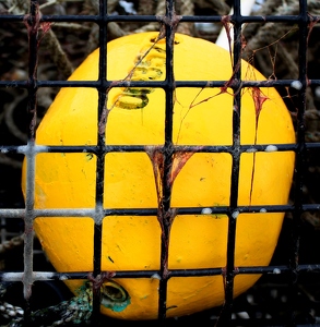 Yellow Buoy - Photo by Bill Latournes