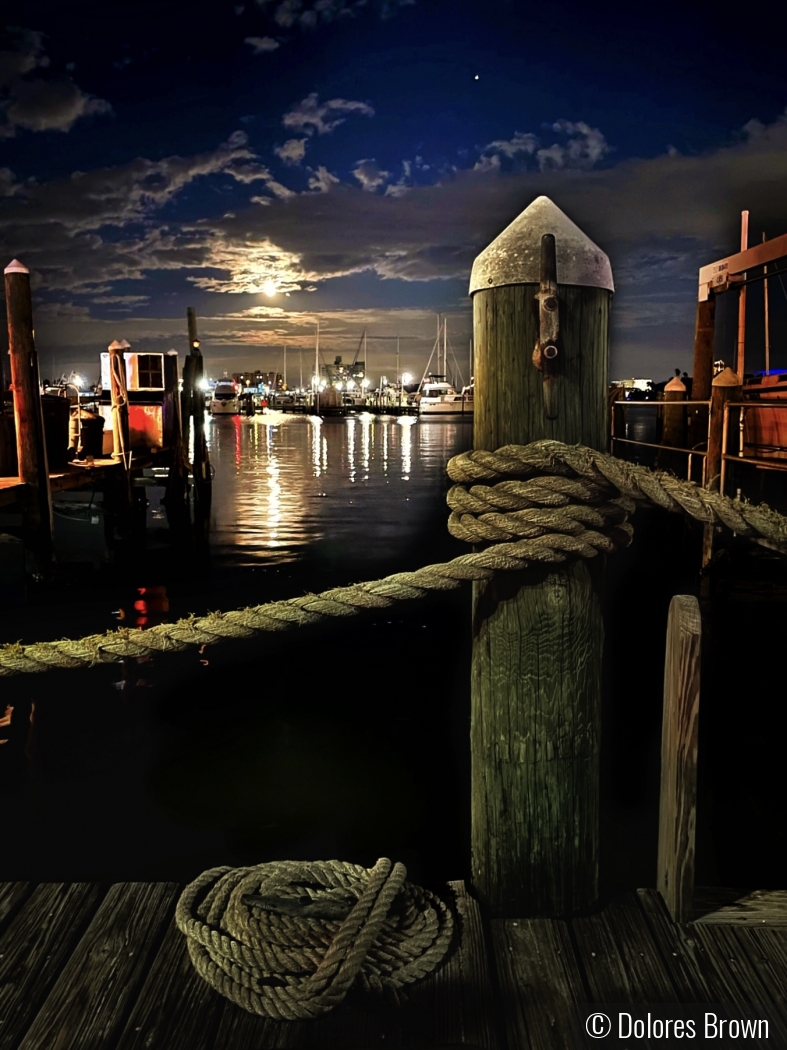 A night walk on the docks by Dolores Brown