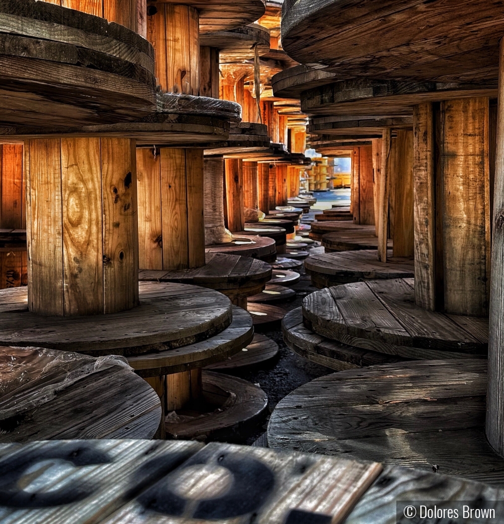 A Path Through Wooden Reels by Dolores Brown
