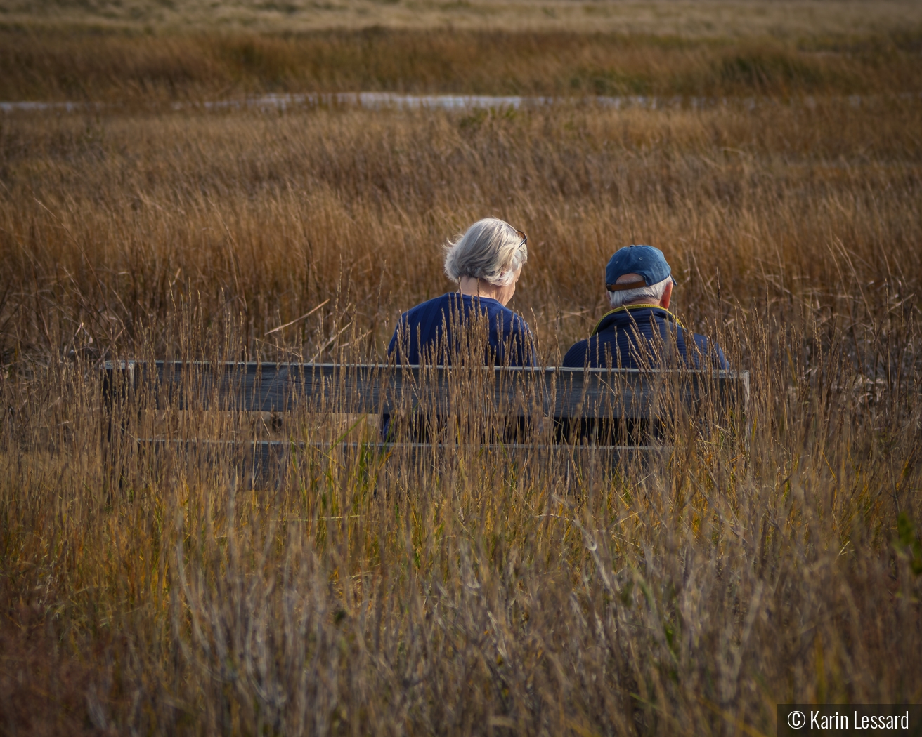 A Quiet Moment Among The Reeds by Karin Lessard