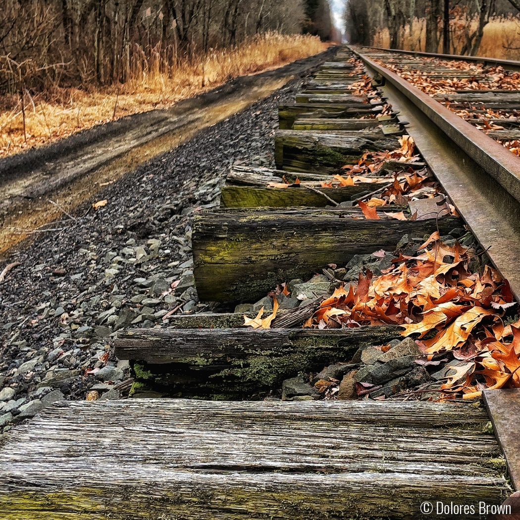 A Rail Trail to the unknown by Dolores Brown