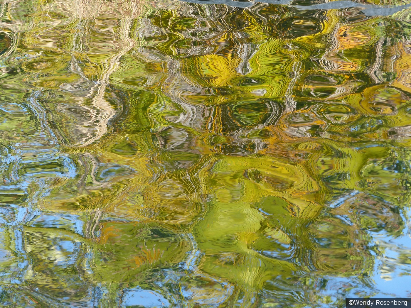 afternoon water reflections by Wendy Rosenberg