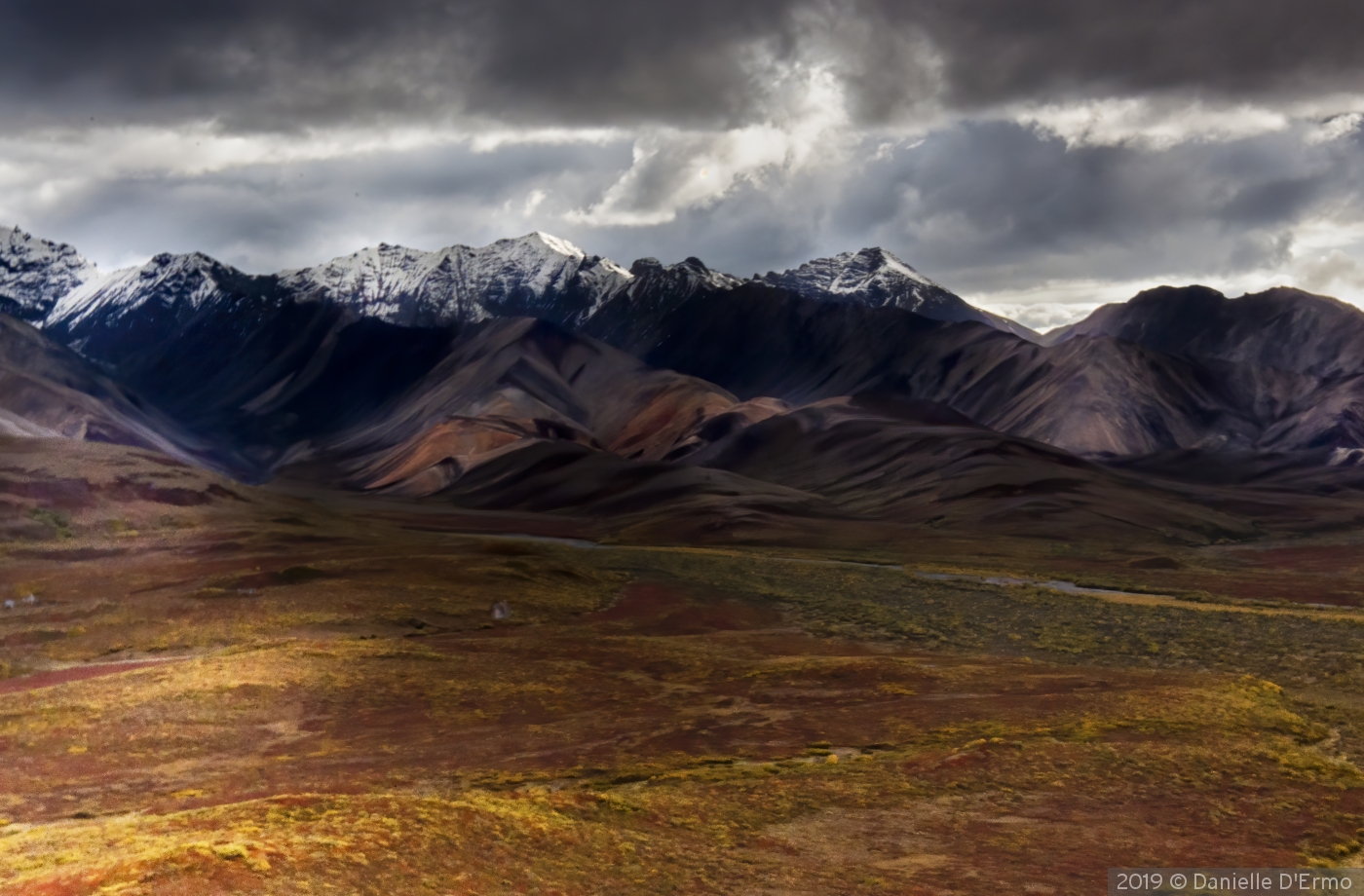 Alaska Landscape by Danielle D'Ermo