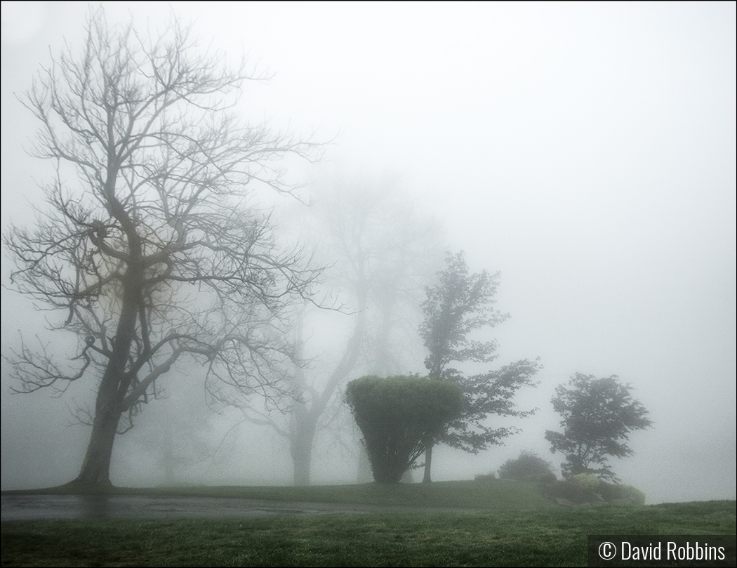 Allegheny Fog by David Robbins
