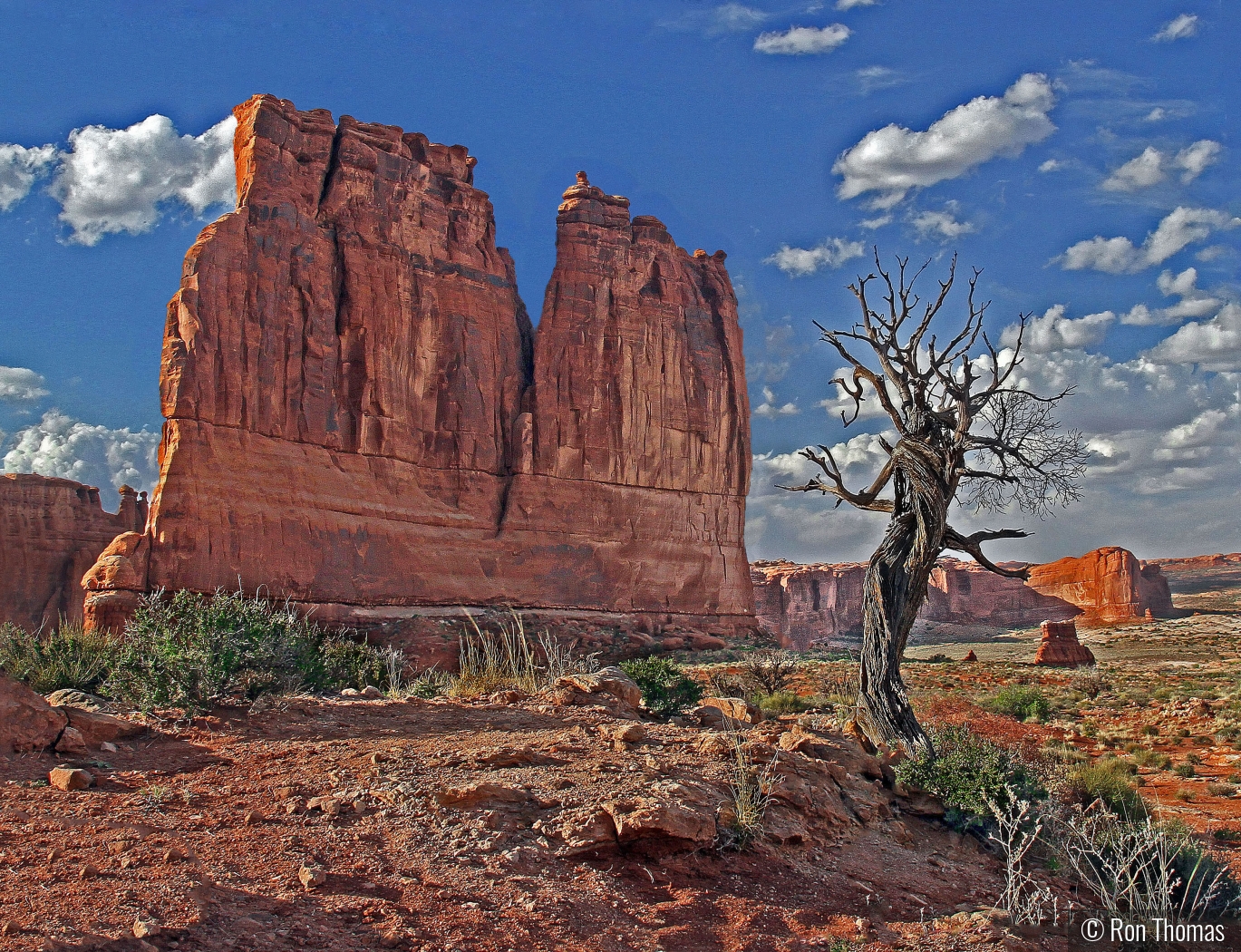 Arches National Park Utah by Ron Thomas