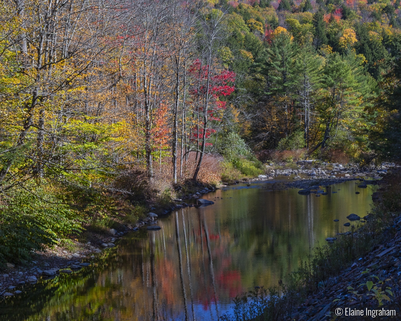 Autumn in Vermont by Elaine Ingraham