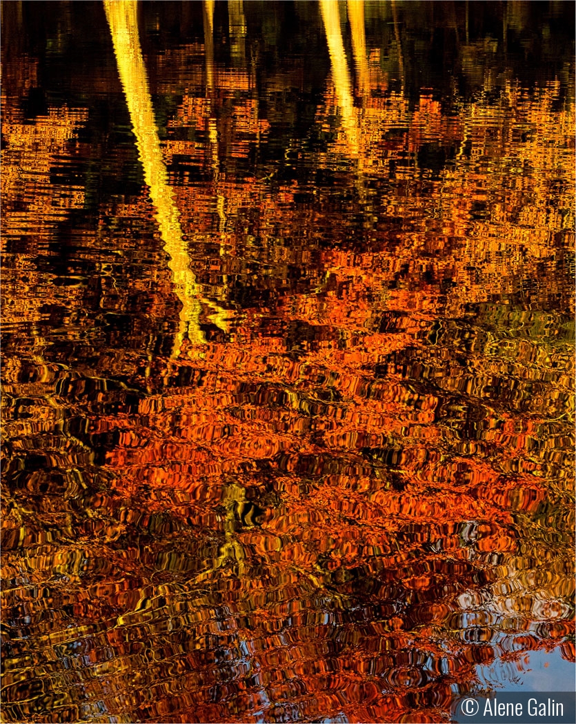 Autumn Reflections by Alene Galin