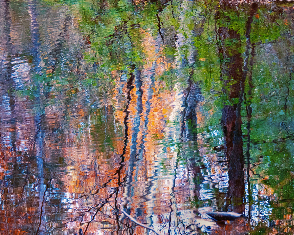 Autumn Tree Reflections by Dolph Fusco