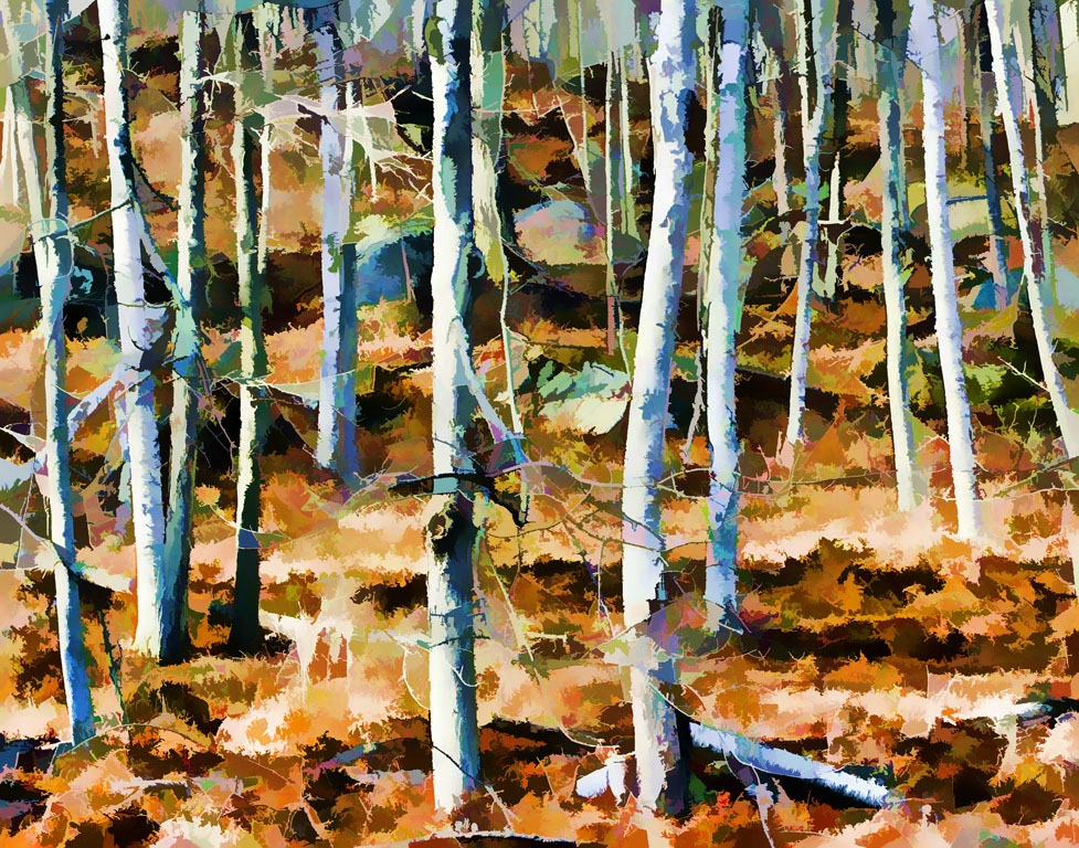 Birches Impression by Bruce Metzger