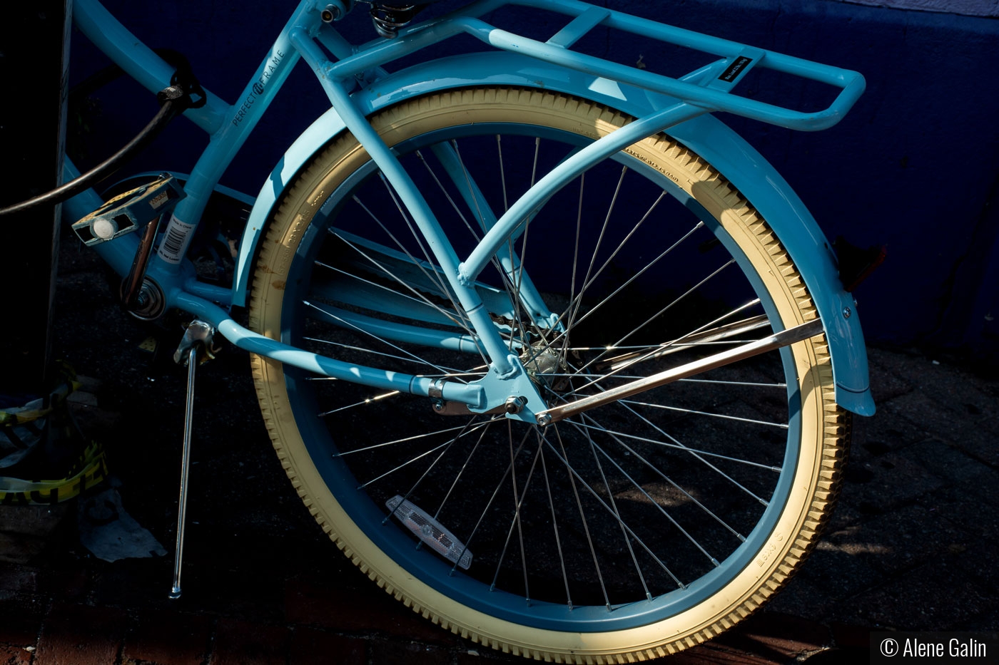 Blue Bike by Alene Galin