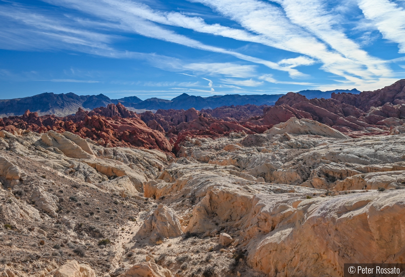 Blue Red and White at Fire Canyon, Valley of Fire by Peter Rossato