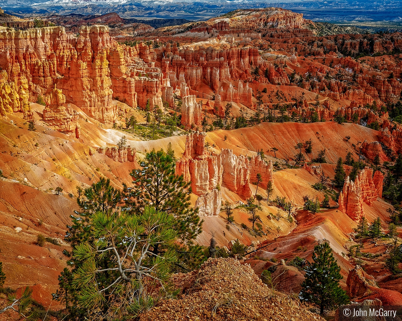 Bryce Canyon Overlook #2 by John McGarry