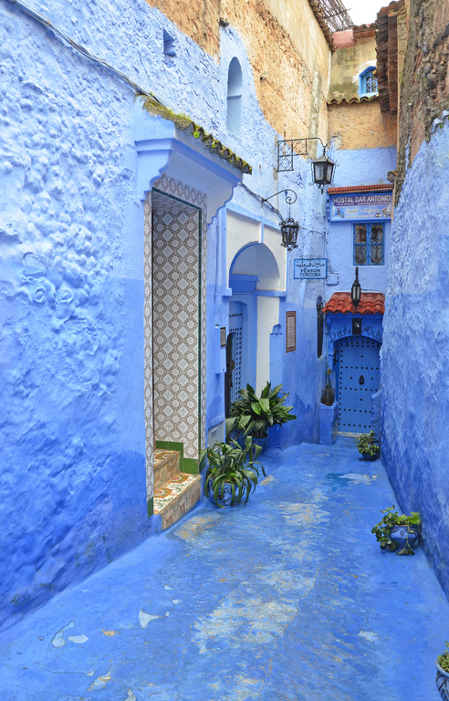 Chefchaouen Moroccan Alley by Lou Norton