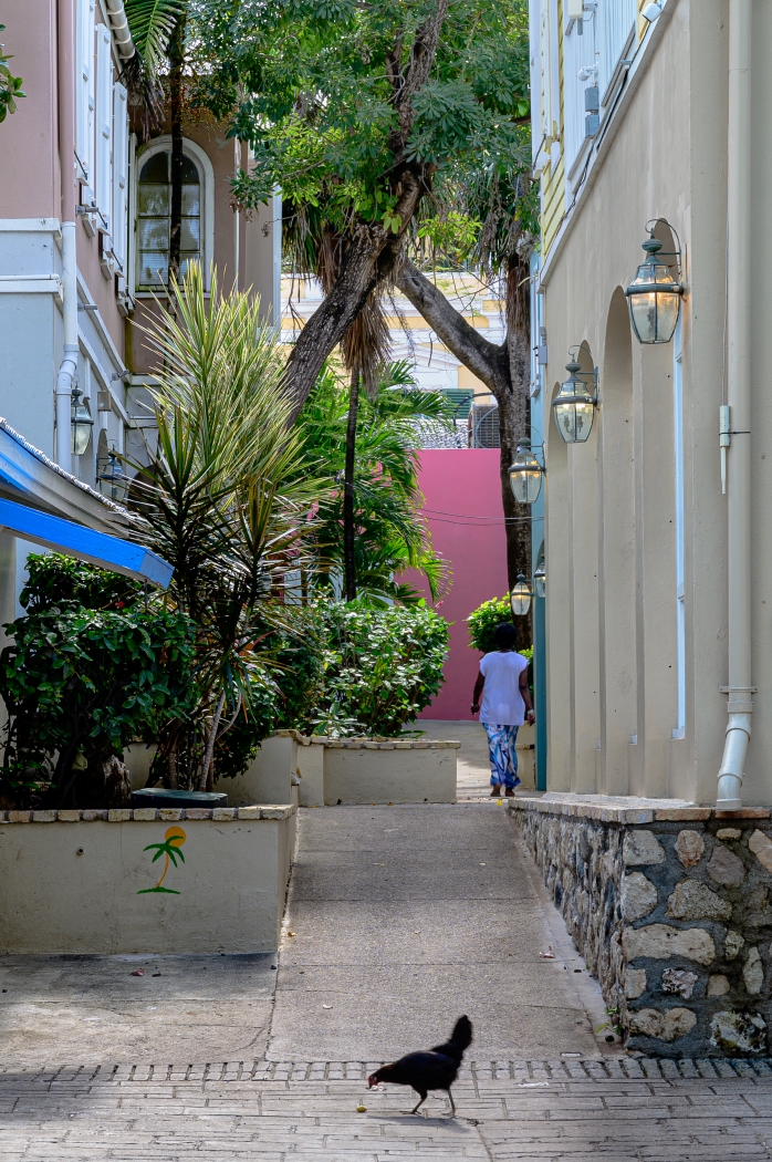 Christiansted Alley, St Croix USVI by Peter Rossato