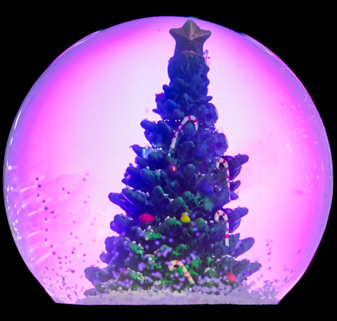 Christmas Planet by Pamela Carter