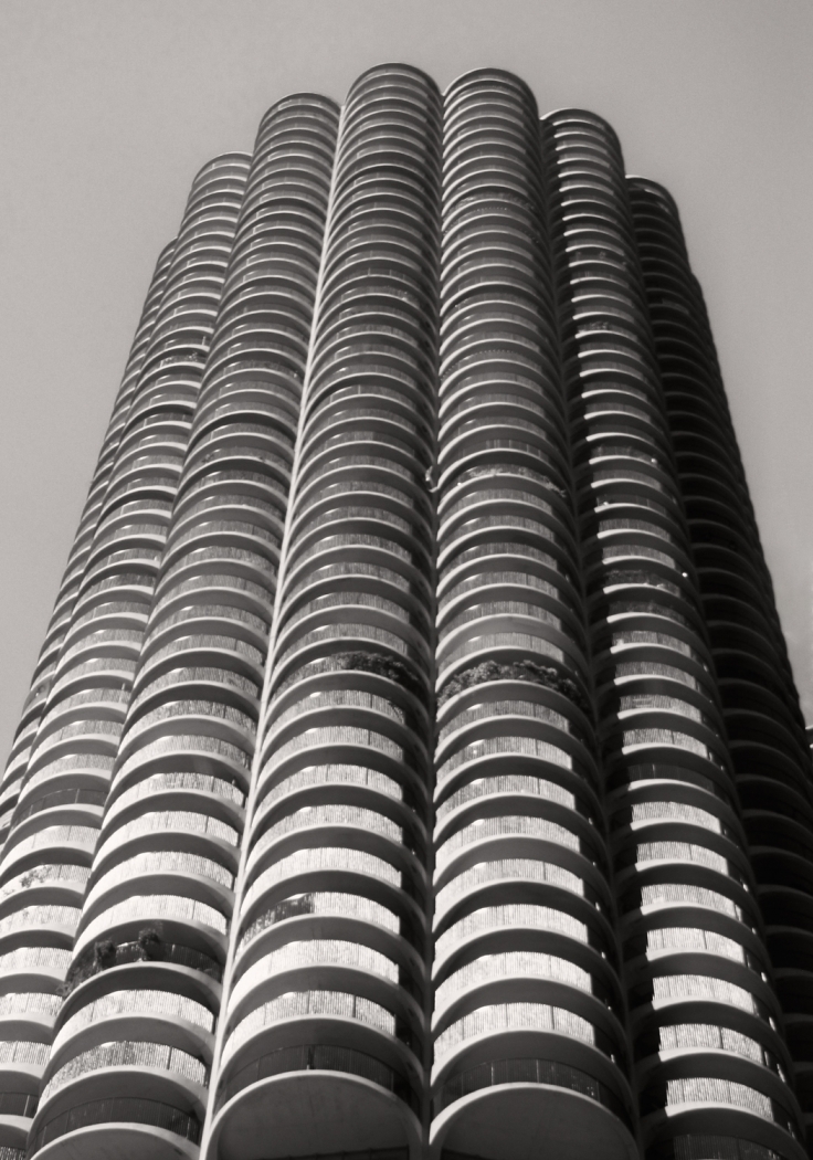 Corncob Building Chicago by Susan Case