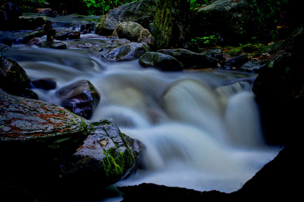 Creek at Campbell Falls by Richard Busch