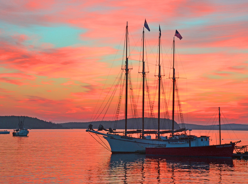 Dawn At Bar Harbor by Lou Norton