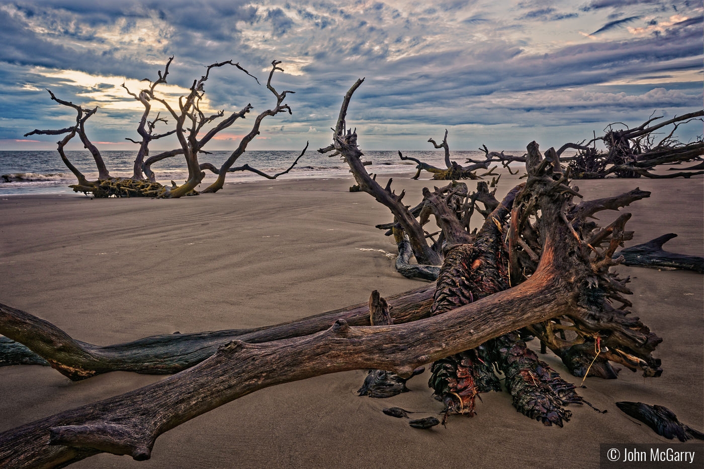 Driftwood Beach Weathered Wood by John McGarry