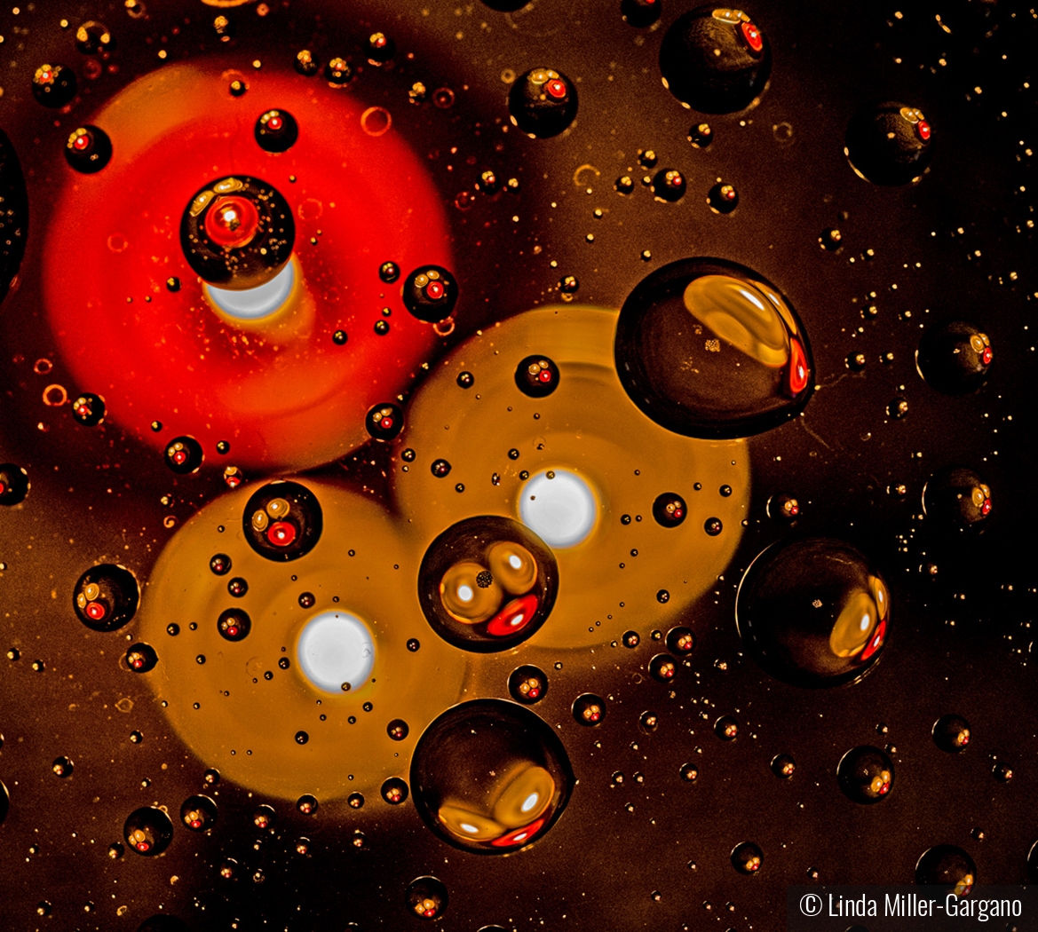 Droplet Universe by Linda Miller-Gargano