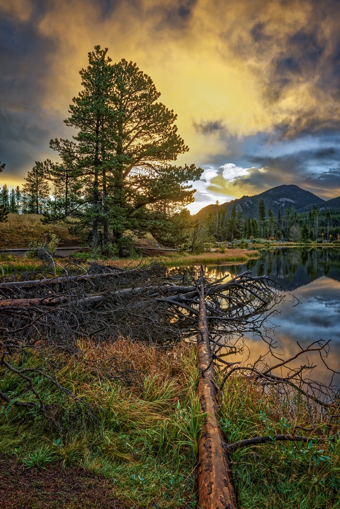 Early Morning at Sprague Lake by John McGarry