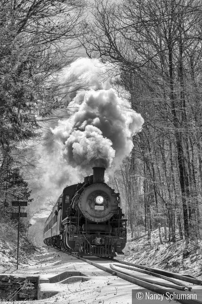 Essex Steam Train by Nancy Schumann