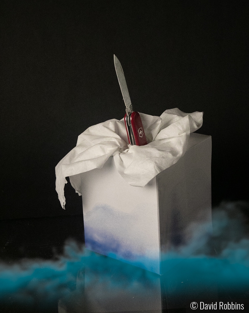 Evil tissue box by David Robbins
