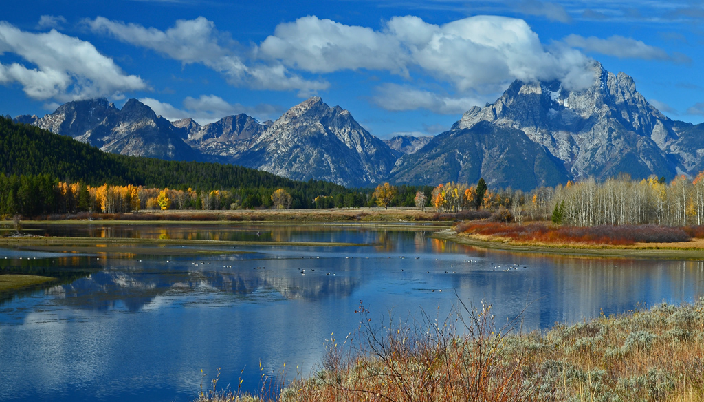Fall in Grand Teton by Lee Wilcox
